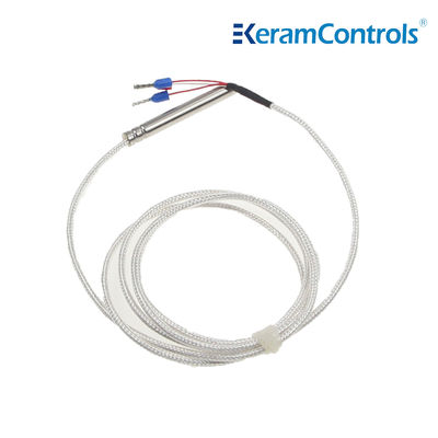 Draht 2 imprägniern Temperaturfühler 316 rostfreie IP65