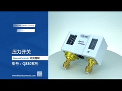 Edelstahl verdoppeln justierbare Druckschalter für Wasser-Pumpe