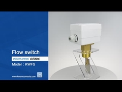 Flüssigkeitsdurchflussmessung Durchflussschalter mit Paddel-Sensoren Temperaturbereich -20C-120C